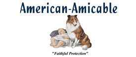 American Amicable